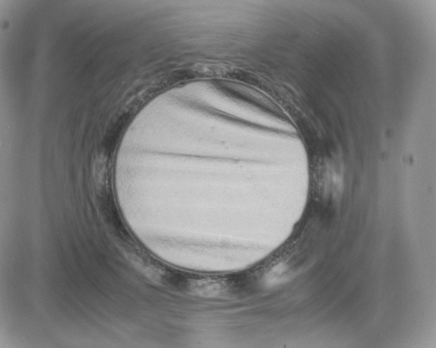 X0000081430511200701261826