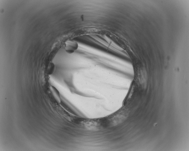 X0000081430512200701261826