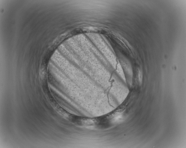 X0000081430513200701261826