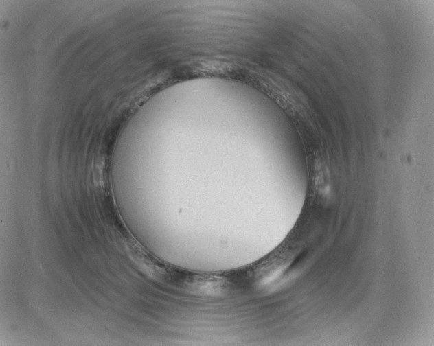 X0000081430514200701261826