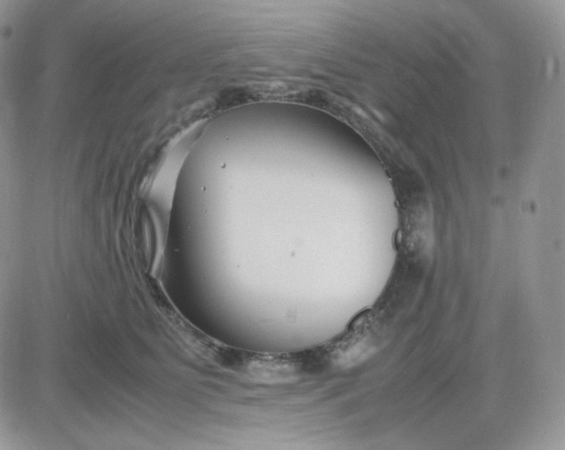 X0000081430515200701261826