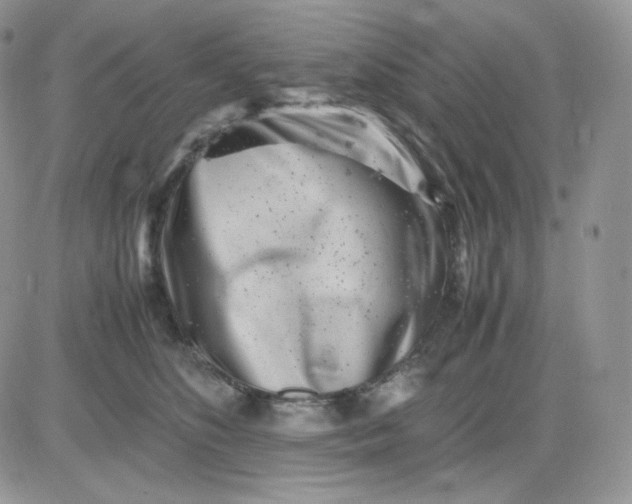 X0000081430516200701261826