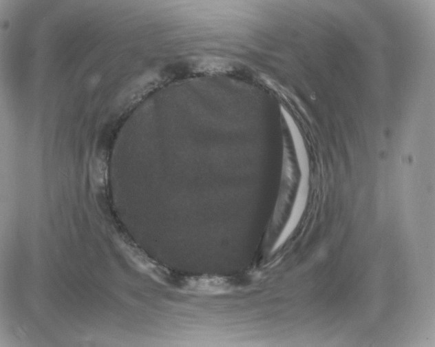 X0000081430517200701261826