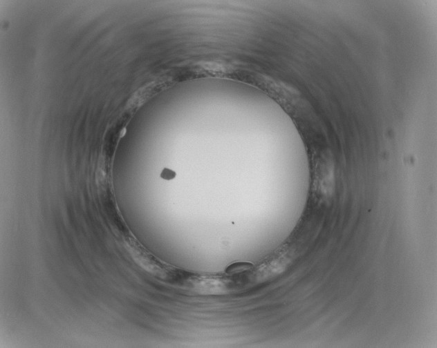 X0000081430518200701261826