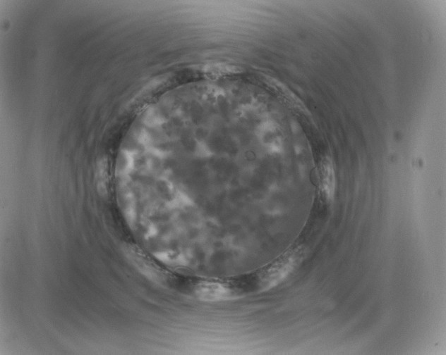 X0000081430519200701261826