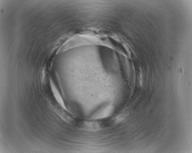 X0000081430520200701261826