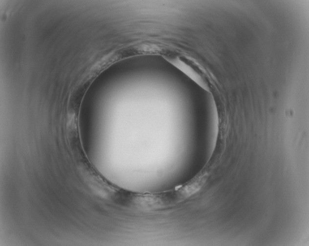 X0000081430521200701261826