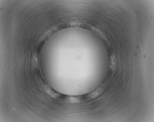 X0000081430522200701261826