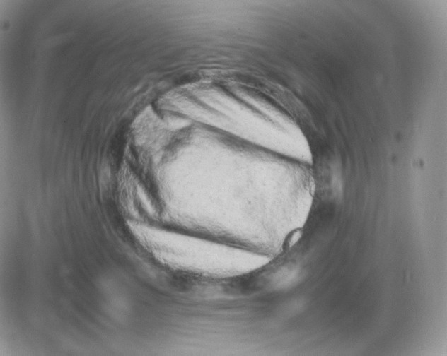 X0000081430523200701261826