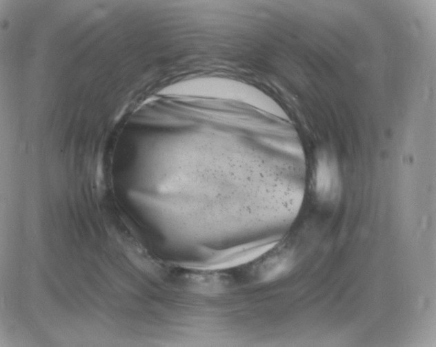 X0000081430524200701261826