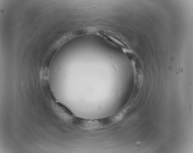 X0000081430525200701261826