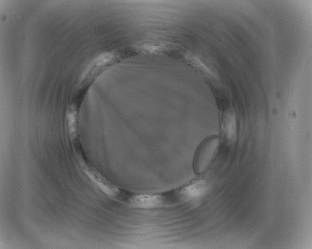 X0000081430526200701261826