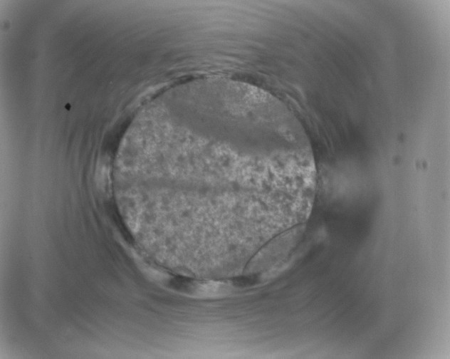 X0000081430527200701261826