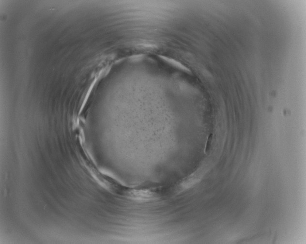 X0000081430528200701261826