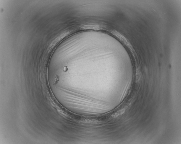 X0000081430529200701261825