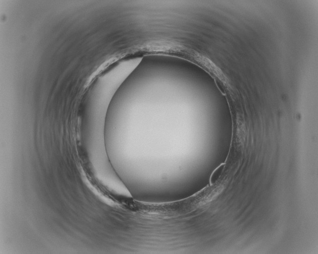 X0000081430530200701261825