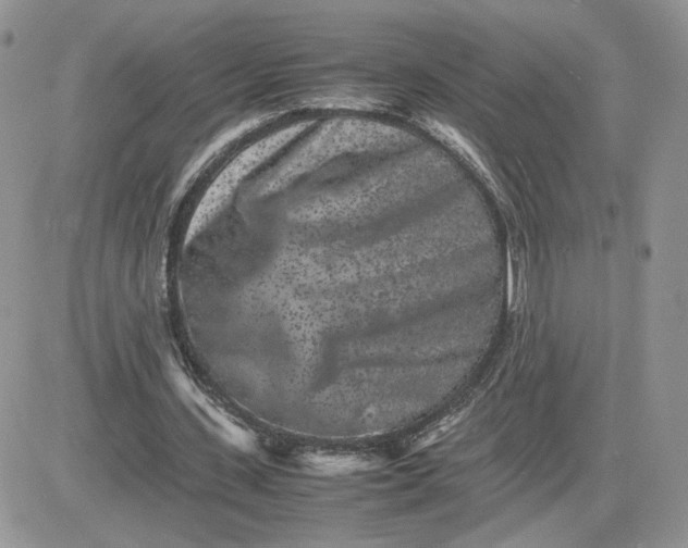 X0000081430531200701261825