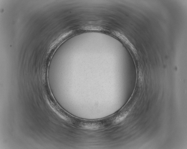 X0000081430533200701261825