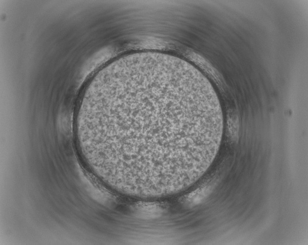 X0000081430534200701261825