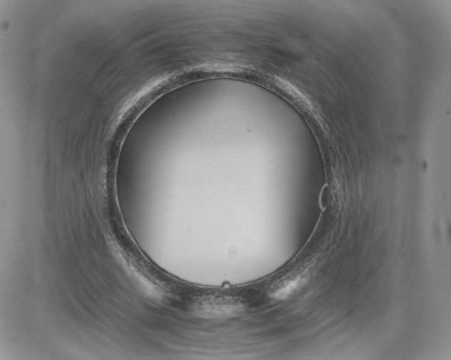 X0000081430535200701261825