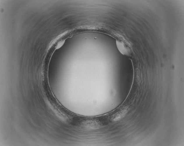 X0000081430536200701261825