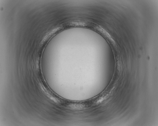 X0000081430537200701261825