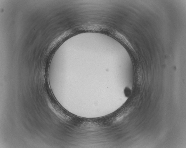 X0000081430538200701261825