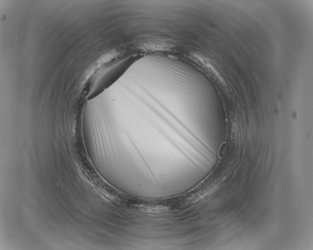 X0000081430539200701261825