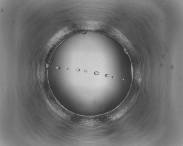 X0000081430540200701261825