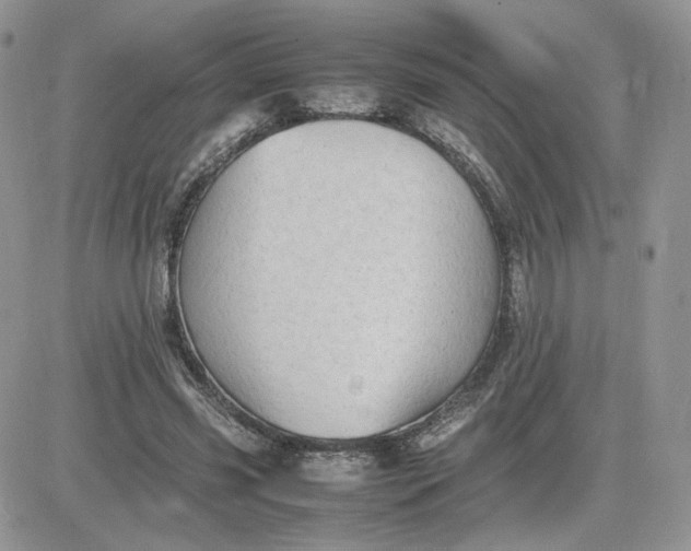 X0000081430541200701261825