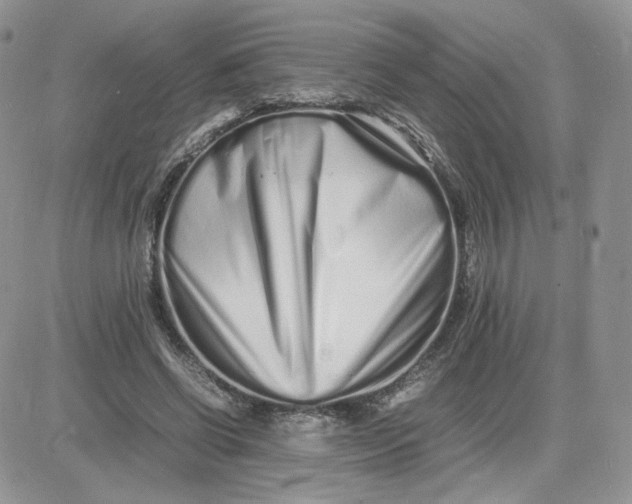 X0000081430542200701261825