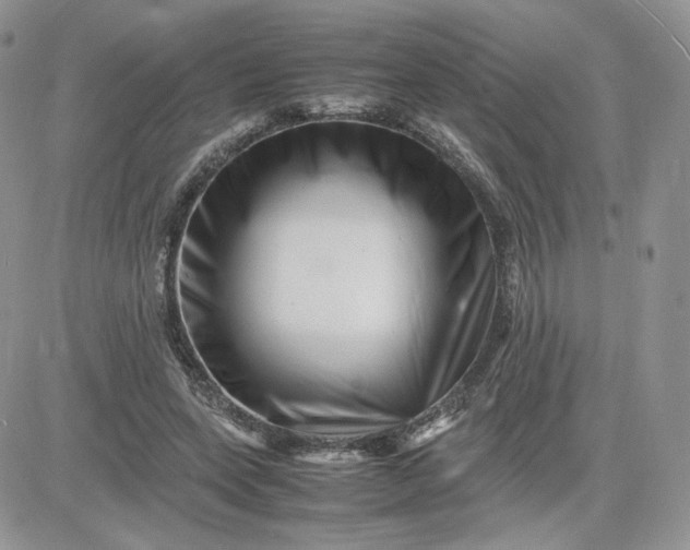 X0000081430543200701261825