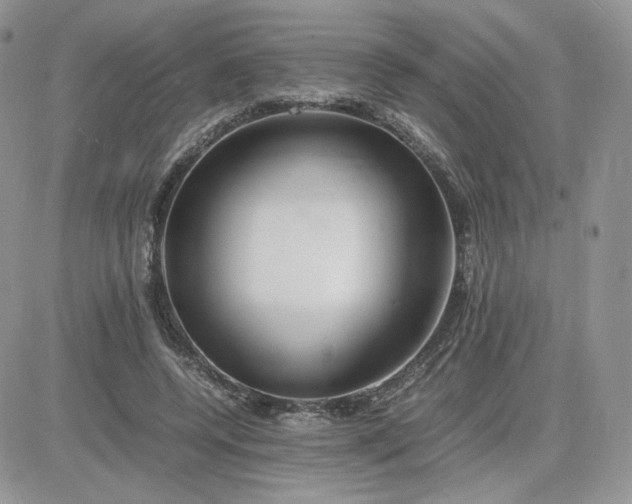 X0000081430544200701261825