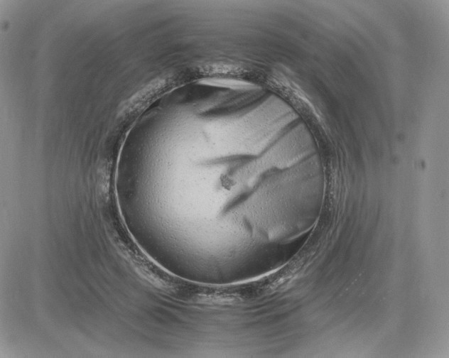 X0000081430545200701261825