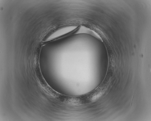 X0000081430546200701261825