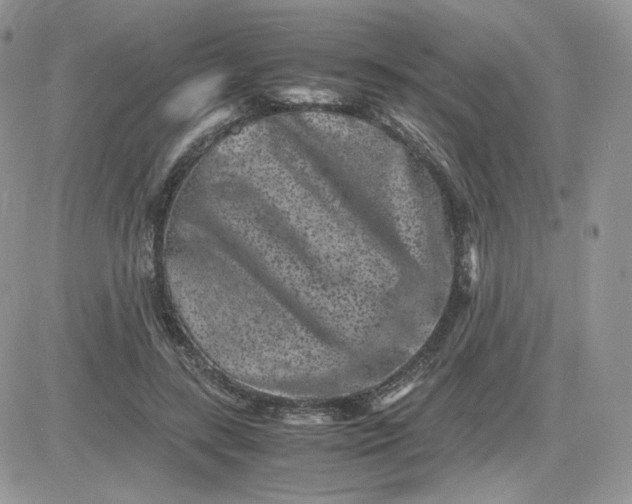 X0000081430547200701261825