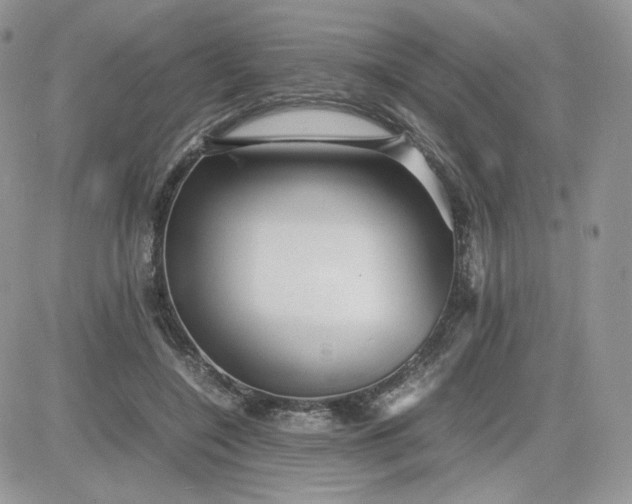 X0000081430548200701261825