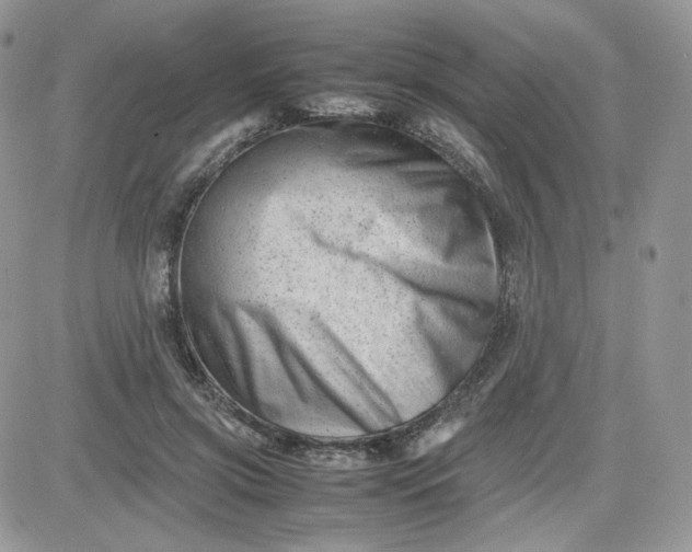 X0000081430549200701261825