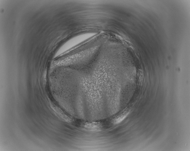 X0000081430550200701261825