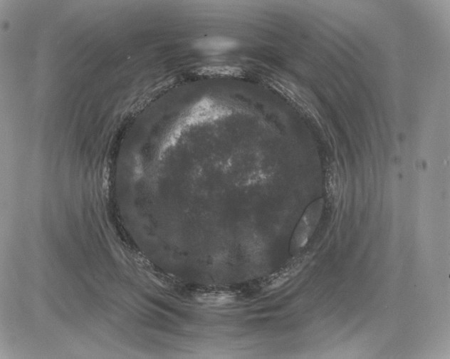 X0000081430551200701261825