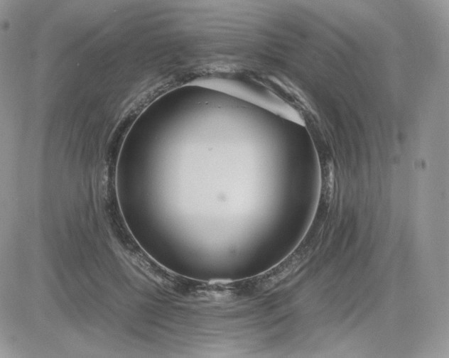 X0000081430552200701261825