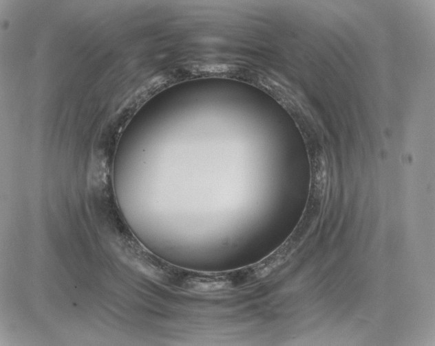 X0000081430555200701261825