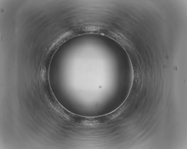 X0000081430556200701261825