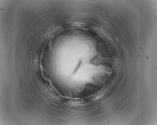 X0000081430557200701261825