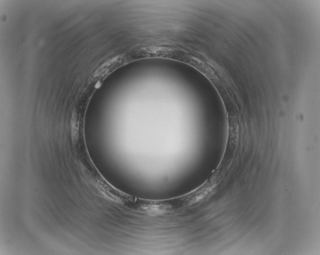 X0000081430558200701261825