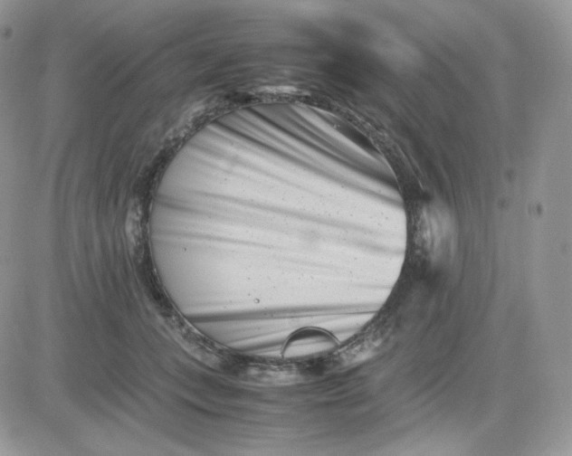 X0000081430559200701261825