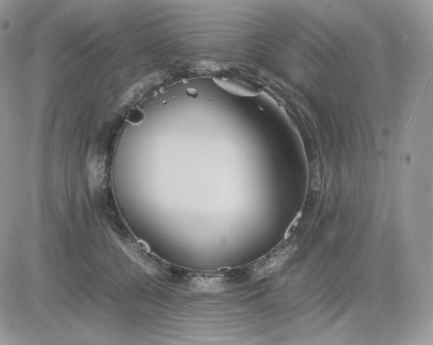 X0000081430560200701261825