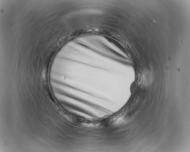 X0000081430561200701261825