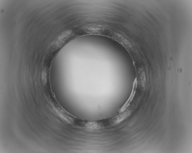 X0000081430562200701261825