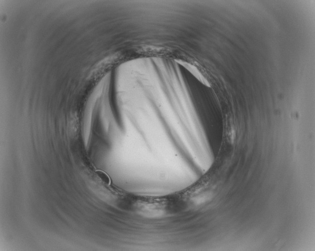 X0000081430563200701261825